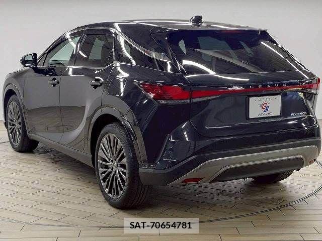 Lexus RX 2023-11 8245761-18