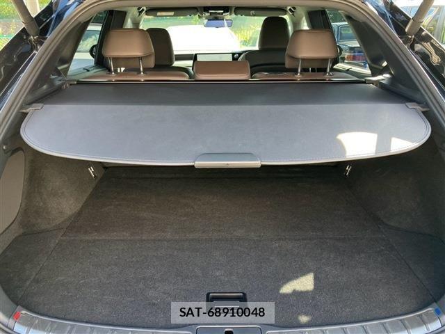 Lexus RX 2023-11 8315226-22