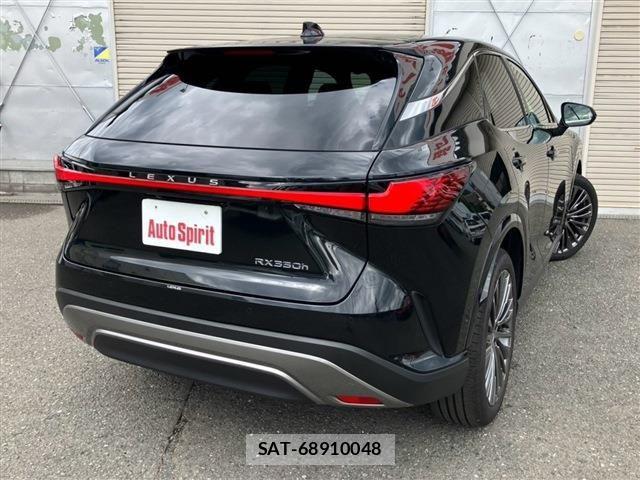 Lexus RX 2023-11 8315226-4