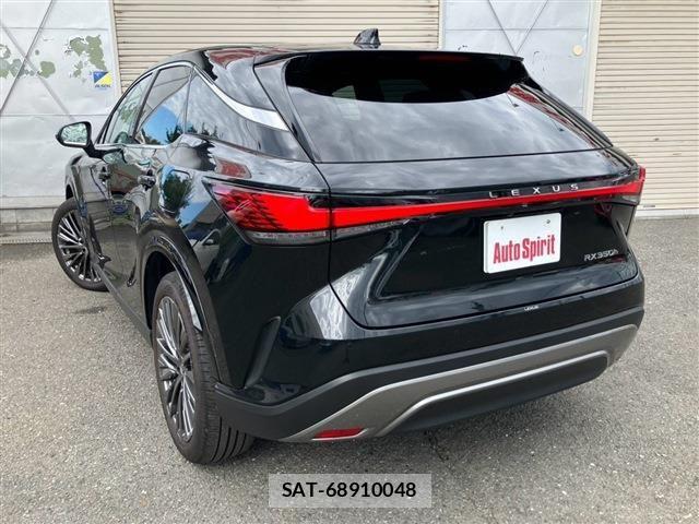 Lexus RX 2023-11 8315226-6