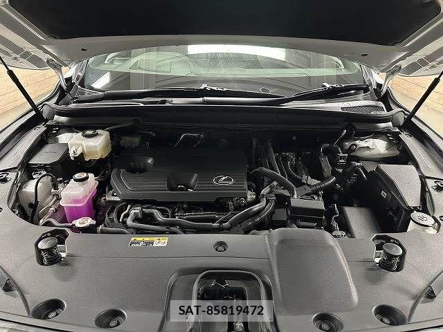 Lexus RX 2023-09 8336604-13