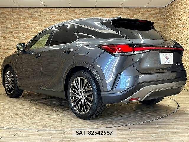 Lexus RX 2024-03 8485651-16