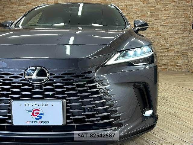 Lexus RX 2024-03 8485651-19