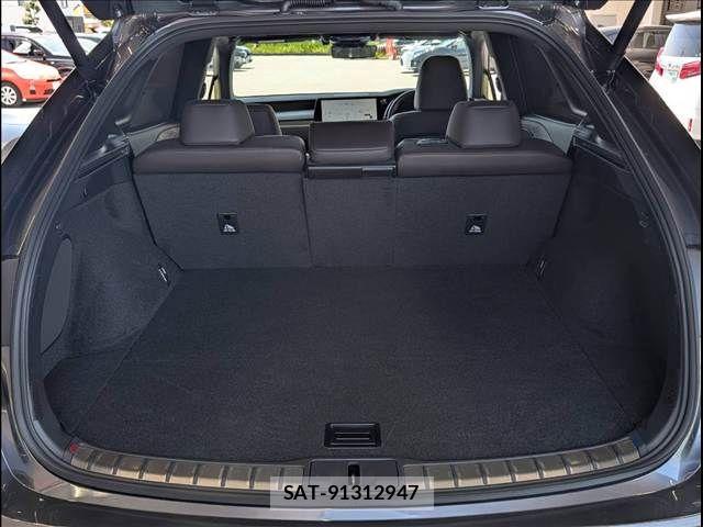 Lexus RX 2024-08 8485649-12