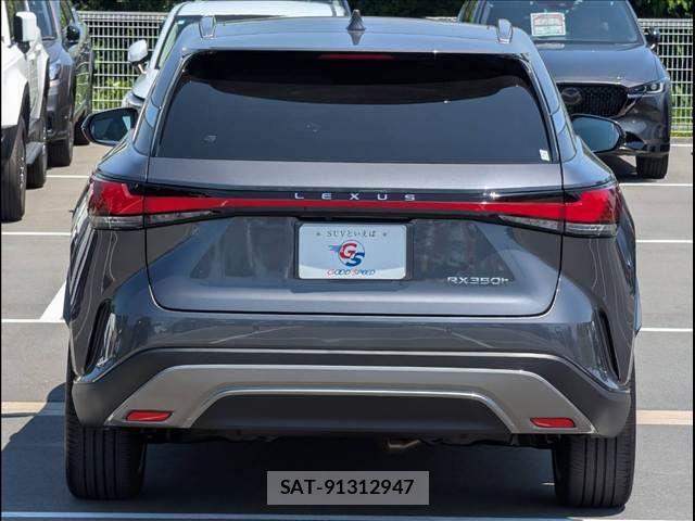 Lexus RX 2024-08 8485649-15