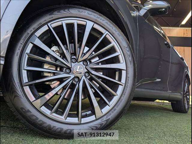 Lexus RX 2024-08 8485649-18