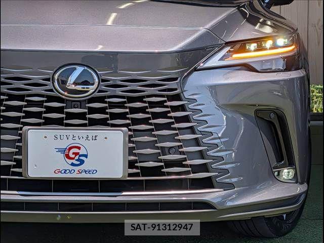 Lexus RX 2024-08 8485649-19