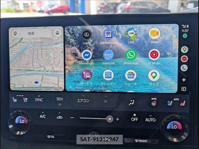 Lexus RX 2024-08 8485649-4