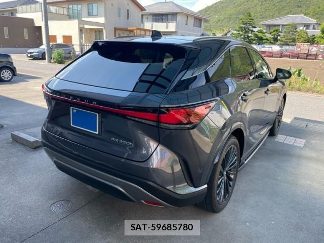 Lexus RX 2024-03 8562482-6
