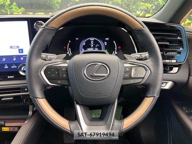 Lexus RX 2023-10 8659999-11