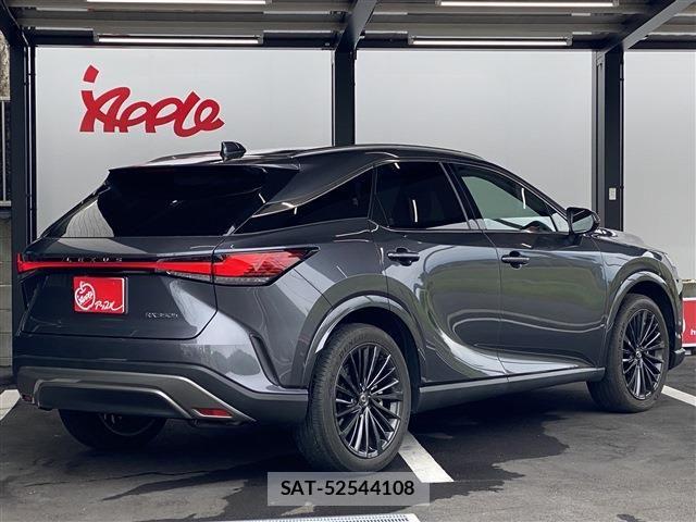 Lexus RX 2023-09 8743506-2
