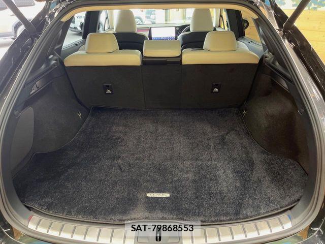 Lexus RX 2024-05 8880560-9