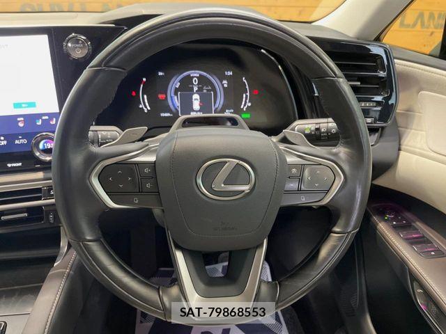 Lexus RX 2024-05 8880560-10