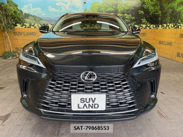 Lexus RX 2024-05 8880560-13
