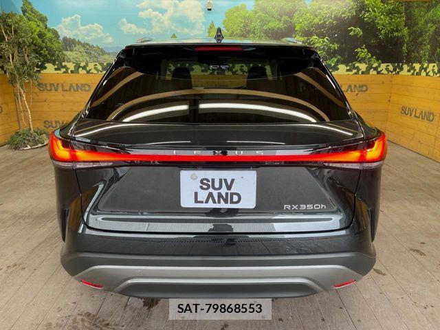 Lexus RX 2024-05 8880560-14