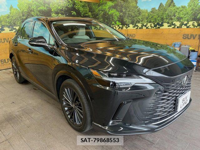 Lexus RX 2024-05 8880560-15