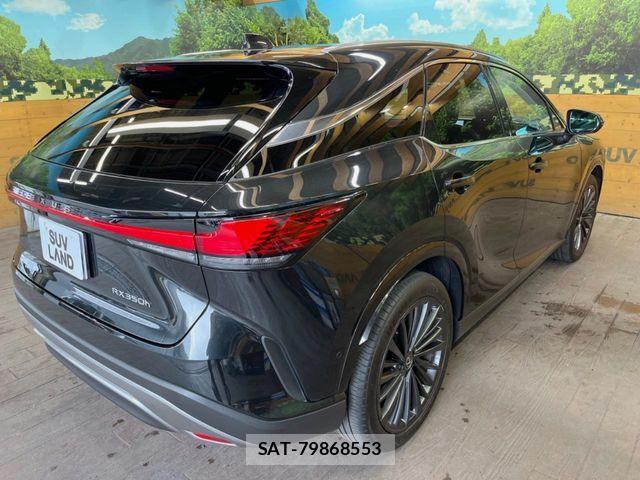 Lexus RX 2024-05 8880560-16
