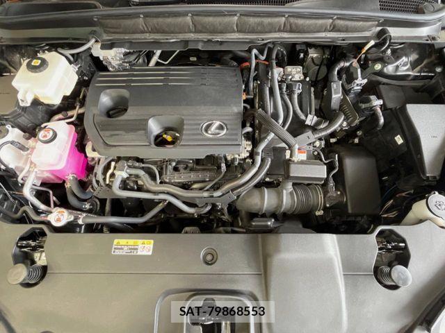 Lexus RX 2024-05 8880560-17