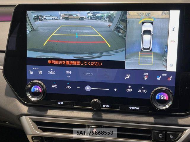 Lexus RX 2024-05 8880560-4