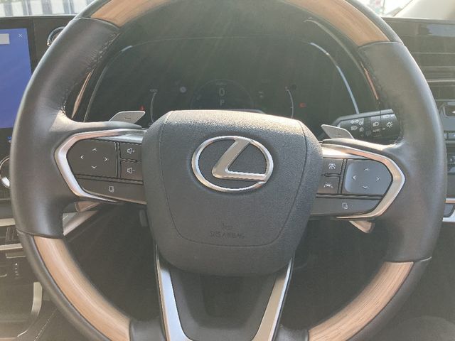 Lexus RX 2023-04 1179106-17