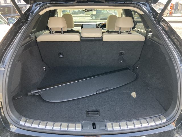 Lexus RX 2023-04 1179106-5