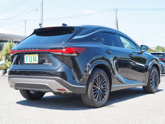 Lexus RX 2023-05 1182273-4