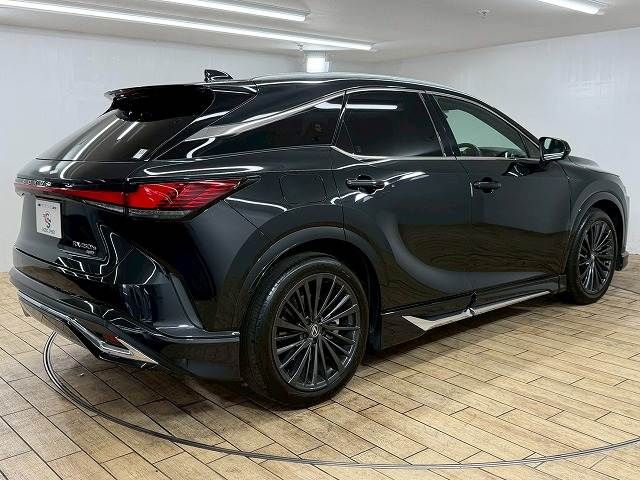 Lexus RX 2023-03 3414543-15