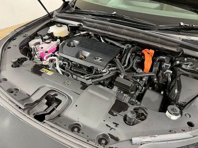 Lexus RX 2023-03 3414543-17