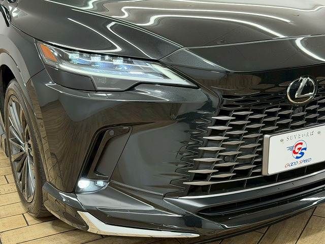 Lexus RX 2023-03 3414543-19