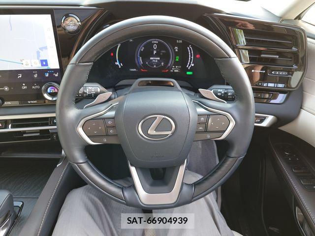 Lexus RX 2023-10 7251377-13