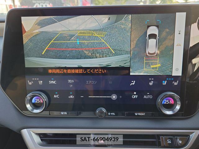 Lexus RX 2023-10 7251377-18