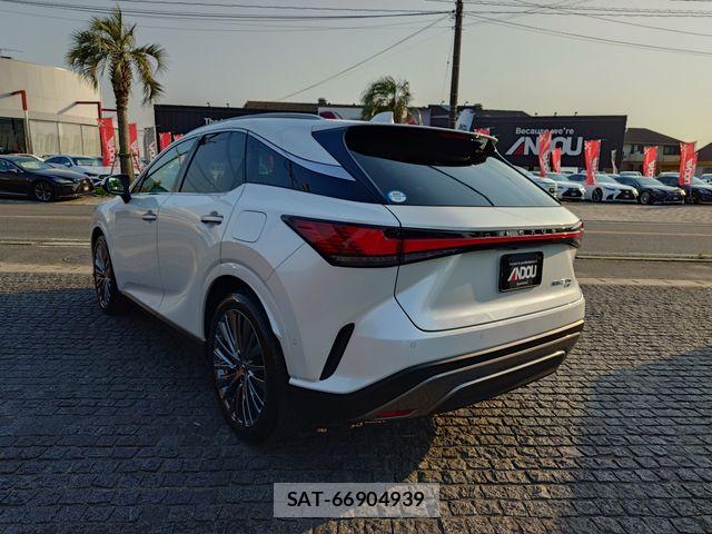Lexus RX 2023-10 7251377-2