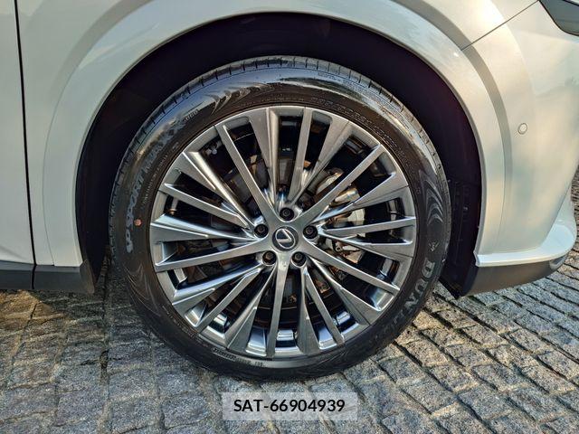 Lexus RX 2023-10 7251377-7