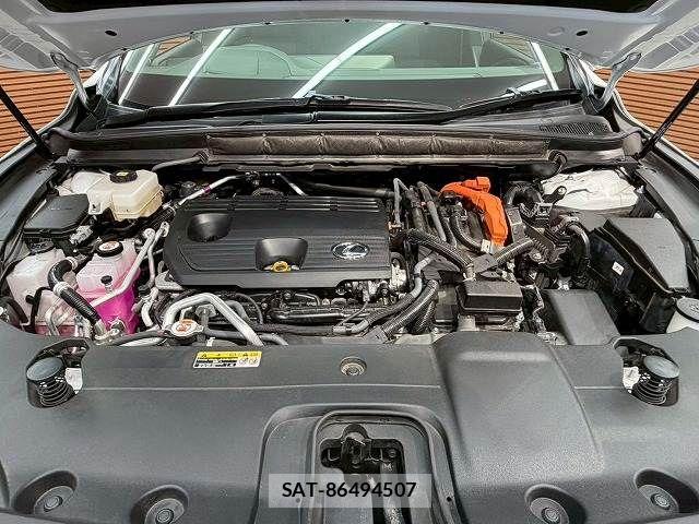 Lexus RX 2023-05 7358572-13