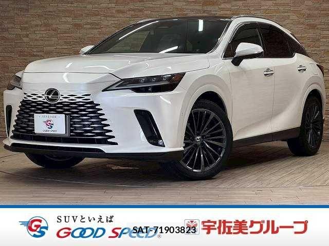 Lexus RX 2023-06 7358573-0