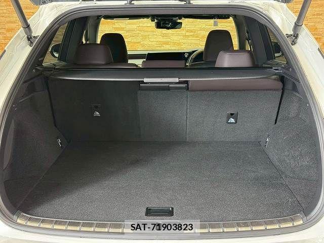 Lexus RX 2023-06 7358573-12