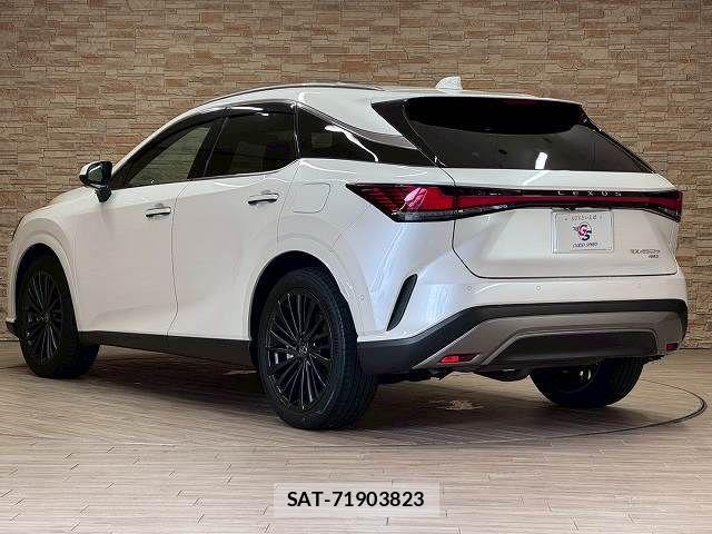 Lexus RX 2023-06 7358573-16