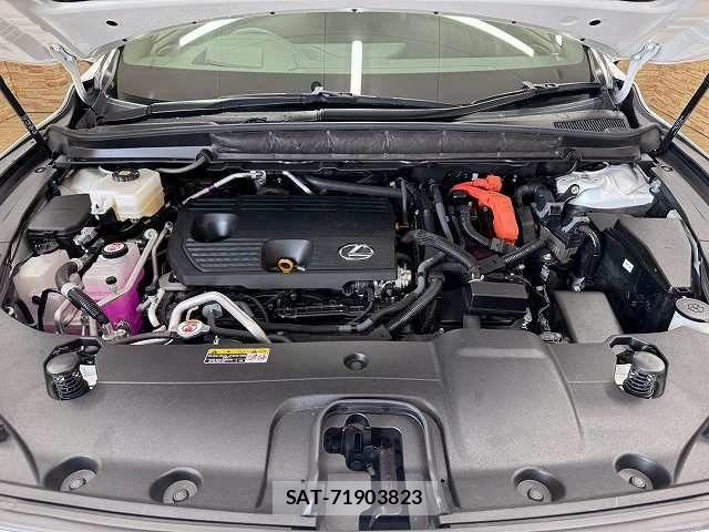 Lexus RX 2023-06 7358573-17