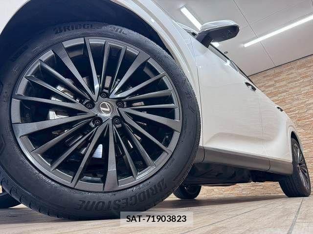 Lexus RX 2023-06 7358573-18