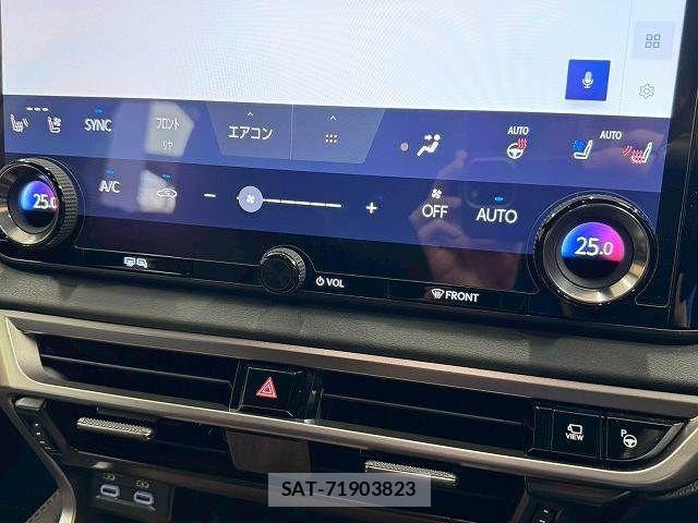 Lexus RX 2023-06 7358573-8