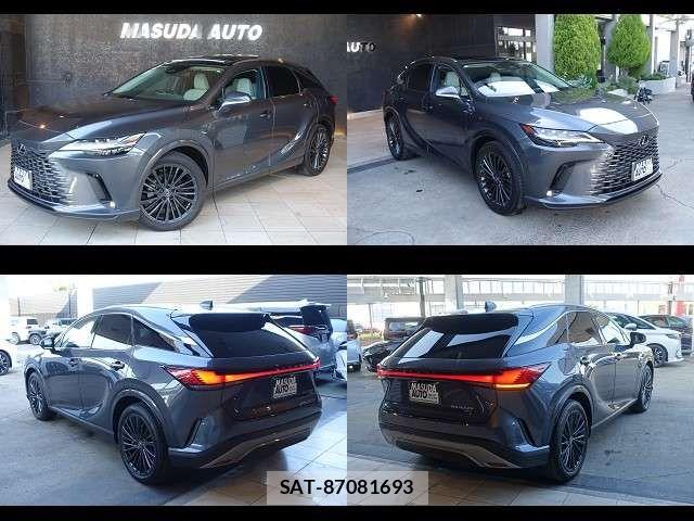 Lexus RX 2024-04 7455482-14