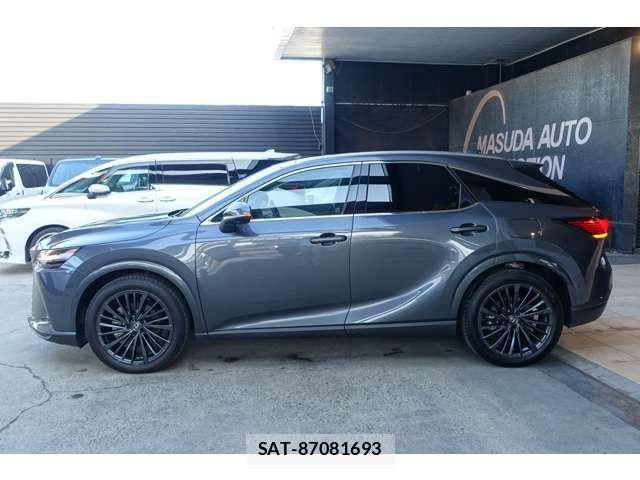 Lexus RX 2024-04 7455482-19