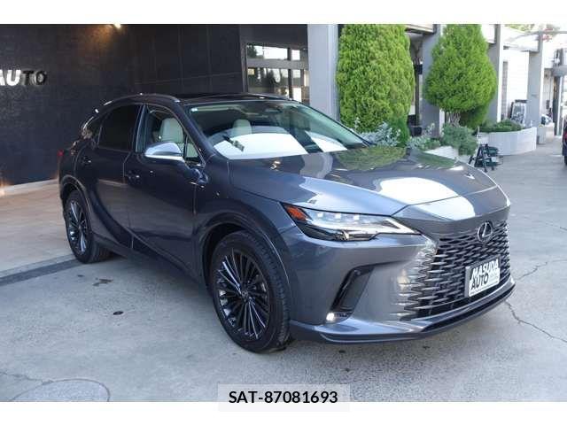 Lexus RX 2024-04 7455482-4
