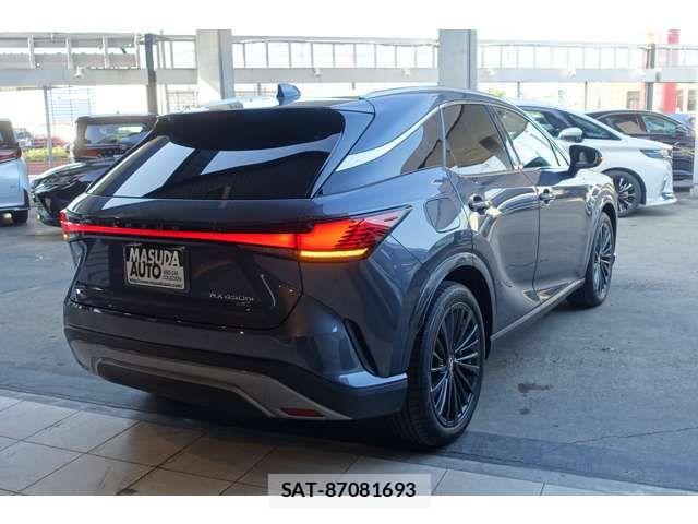 Lexus RX 2024-04 7455482-6