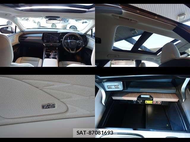 Lexus RX 2024-04 7455482-7