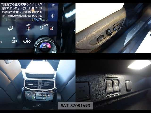 Lexus RX 2024-04 7455482-8