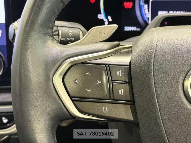 Lexus RX 2023-06 7877463-12