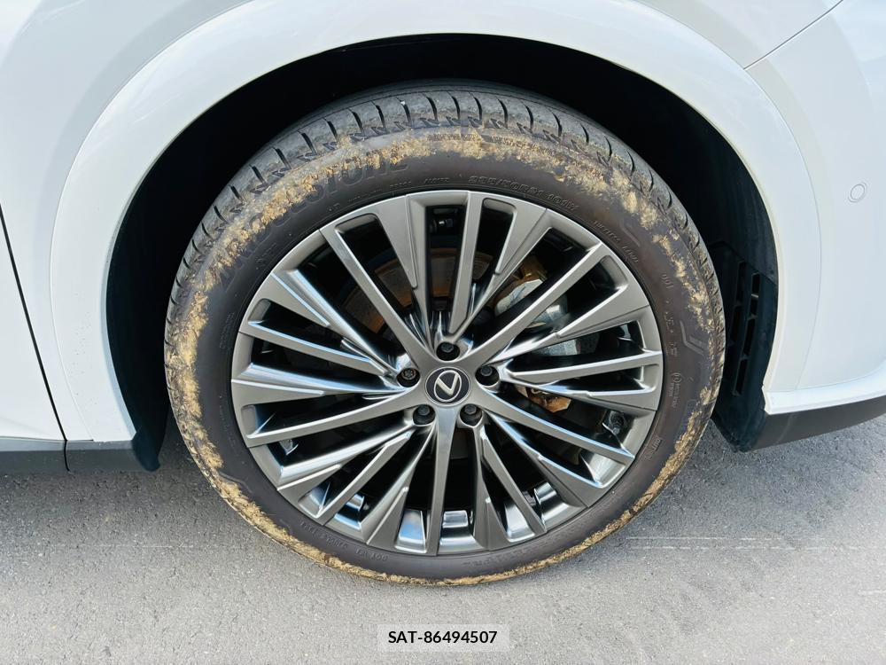 Lexus RX 2023-05 7358572-29