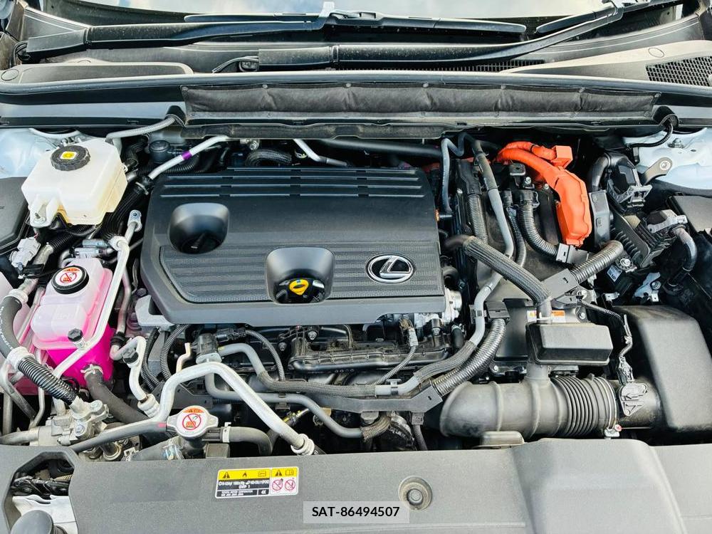 Lexus RX 2023-05 7358572-37