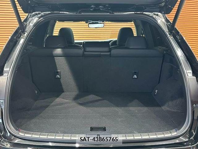 Lexus RX 2023-08 7962472-12